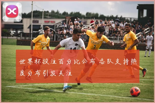 世界杯投注百分比公布 各队支持热度分布引发关注