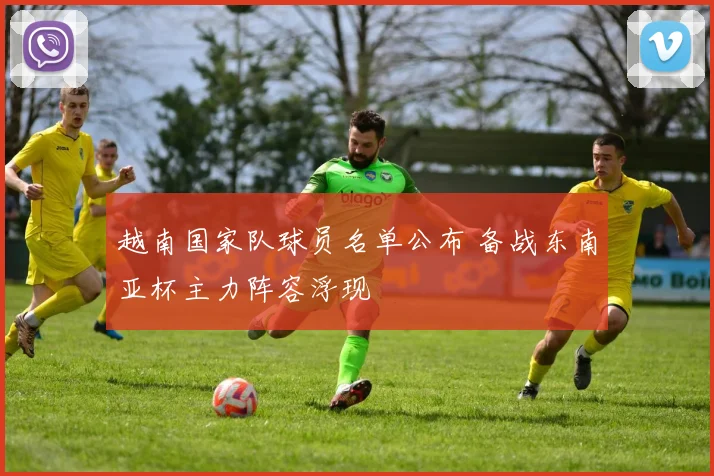 越南国家队球员名单公布 备战东南亚杯主力阵容浮现