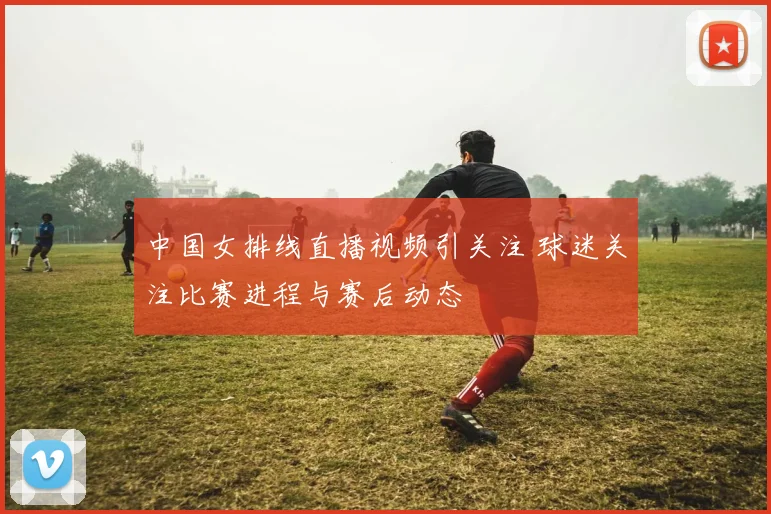 中国女排线直播视频引关注 球迷关注比赛进程与赛后动态