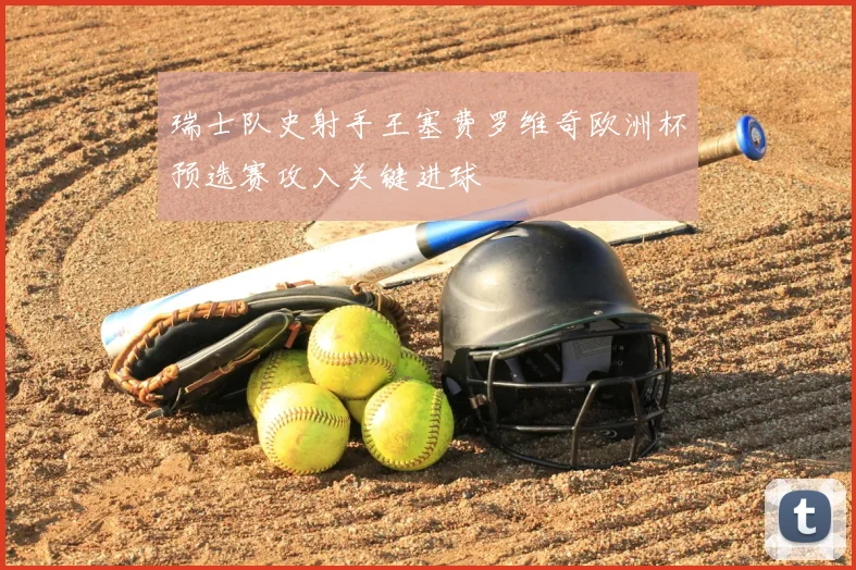 瑞士队史射手王塞费罗维奇欧洲杯预选赛攻入关键进球